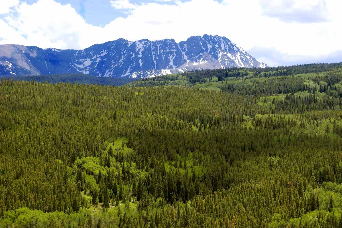 mountain and forest below