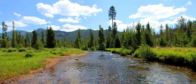 Ranch for Sale in Colorado