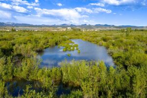 DJI_20260608184914_0562_D