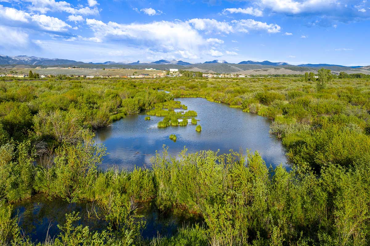 DJI_20260608184914_0562_D
