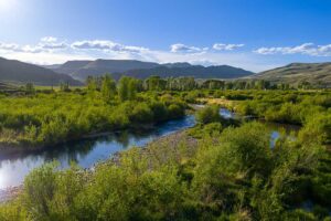 DJI_20260608185015_0567_D