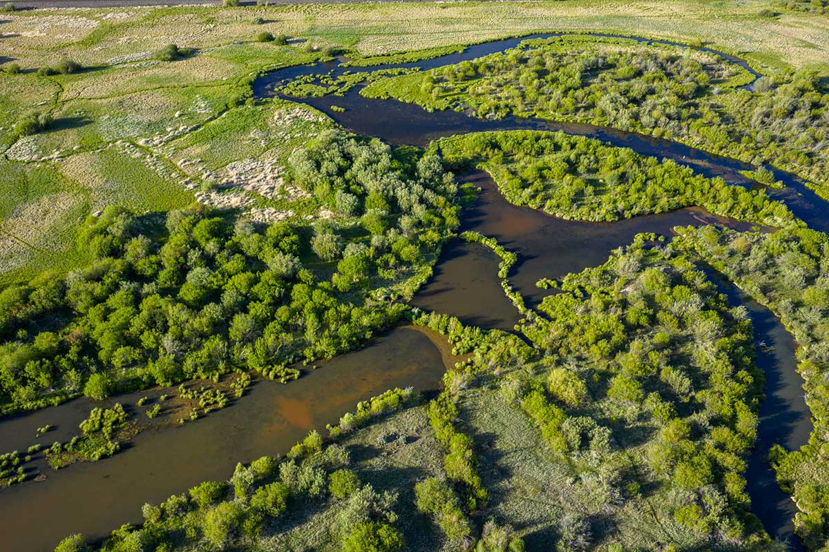 DJI_20260608185256_0576_D