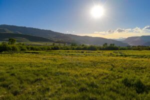 DJI_20260608185746_0585_D