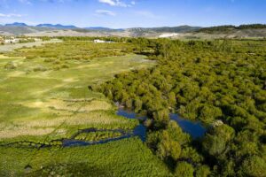 DJI_20260608185857_0590_D