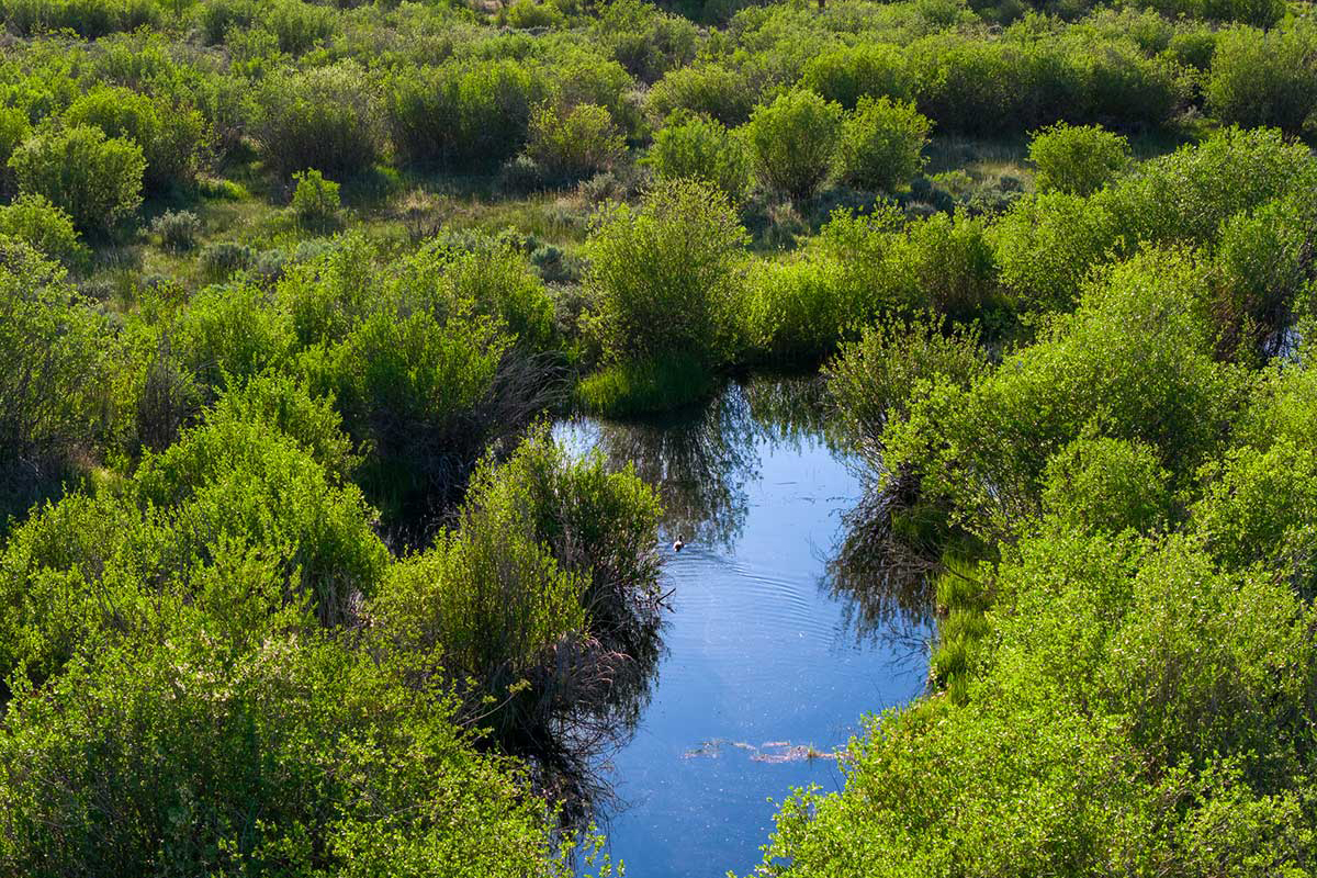 DJI_20260608185943_0593_D