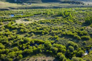 DJI_20260608190004_0594_D