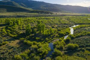 DJI_20260608190117_0598_D