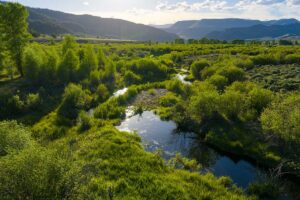 DJI_20260608190131_0599_D