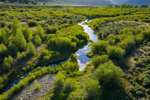 DJI_20260608190201_0600_D