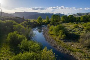 DJI_20260608191733_0635_D