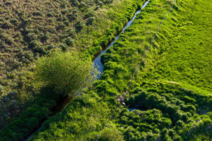 DJI_20260608192131_0648_D