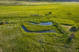 DJI_20260608192259_0654_D