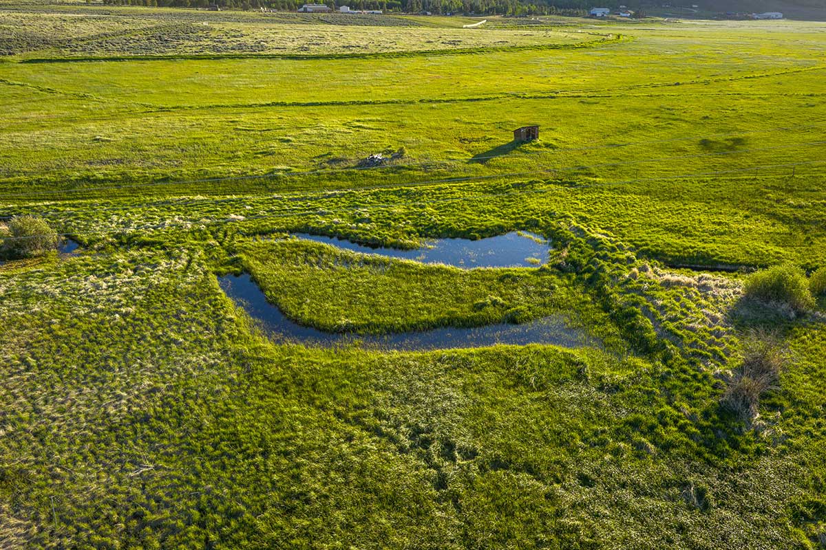 DJI_20260608192259_0654_D