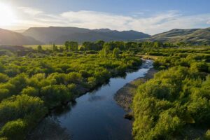 DJI_20260608193829_0679_D