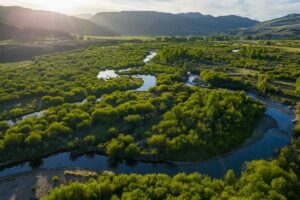 DJI_20260608194221_0688_D