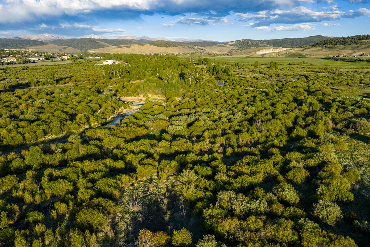 DJI_20260608194228_0689_D