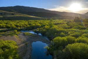 DJI_20260608194317_0693_D