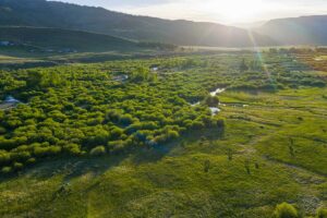 DJI_20260608194353_0696_D