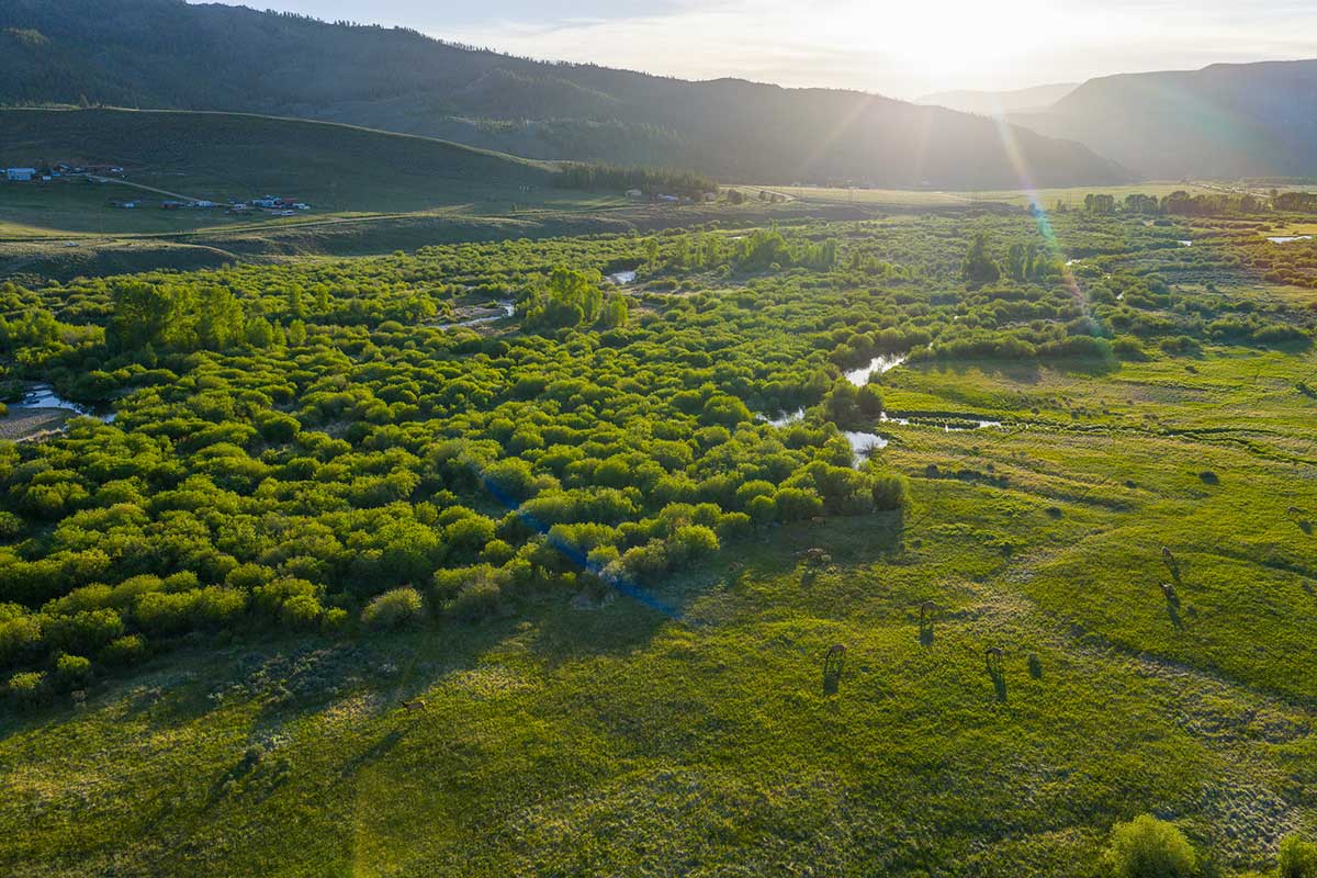 DJI_20260608194353_0696_D