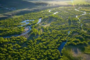 DJI_20260608194415_0697_D