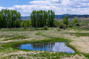 DJI_20260604112352_0508_D