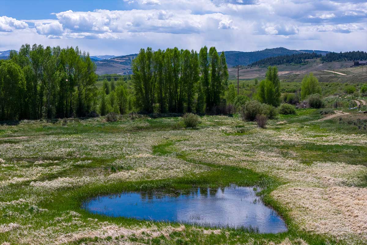 DJI_20260604112403_0509_D