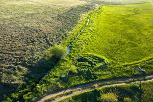 DJI_20260608192138_0649_D